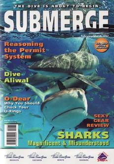 bittenbysharks, submerge cover