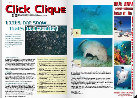 BITTENBYSHARKS ARTICLES, submerge magazine, click clique column