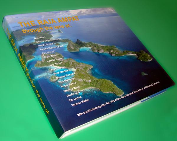 bittenbysharks, raja ampat book, claudia pellarini, underwater photography